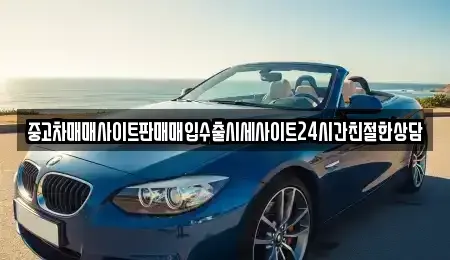 경기 화성시 장지동 중고차 전문 중고차매매사이트판매매입수출시세사이트24시간친절한상담