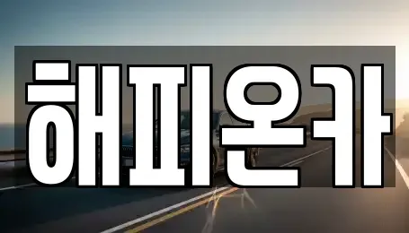 경기 화성시 장지동 중고차 전문 해피온카