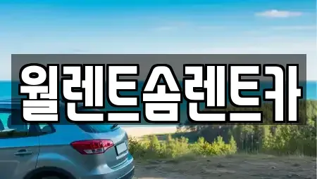 경기 화성시 진안동 렌트카 전문 월렌트솜렌트카