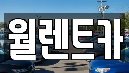 경기 화성시 진안동 렌트카 전문 월렌트카