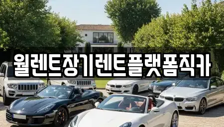 경기 화성시 진안동 장기렌트카 전문 월렌트장기렌트플랫폼직카