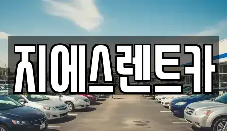 경기 화성시 진안동 장기렌트카 전문 지에스렌트카