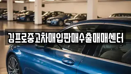 경기 화성시 진안동 중고차매입 전문 김프로중고차매입판매수출매매센터