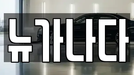 경기도 고양시 덕양구 대자동 렌트카 전문 뉴가나다