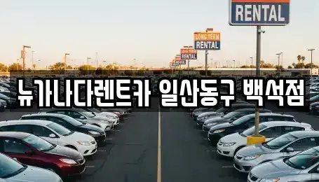경기도 고양시 일산서구 단기렌트카 전문 뉴가나다렌트카 일산동구 백석점