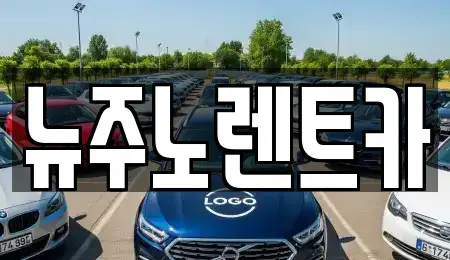 경기도 고양시 일산서구 단기렌트카 전문 뉴주노렌트카