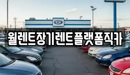 경기도 고양시 일산서구 장기렌트카 전문 월렌트장기렌트플랫폼직카