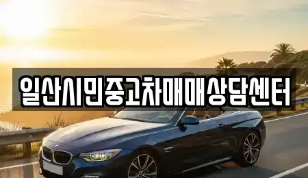 경기도 고양시 일산서구 중고차 전문 일산시민중고차매매상담센터
