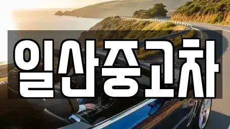 경기도 고양시 일산서구 중고차 전문 일산중고차