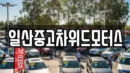 경기도 고양시 일산서구 중고차 전문 일산중고차위드모터스