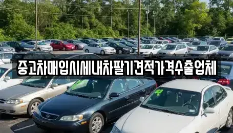 경기도 고양시 일산서구 중고차매입 전문 중고차매입시세내차팔기견적가격수출업체