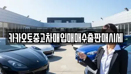 경기도 고양시 일산서구 중고차매입 전문 카카오토중고차매입매매수출판매시세