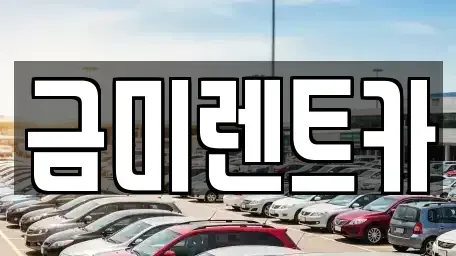 경기도 광명시 일직동 렌트카 전문 금미렌트카