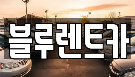 경기도 광주시 고산동 장기렌트카 전문 블루렌트카