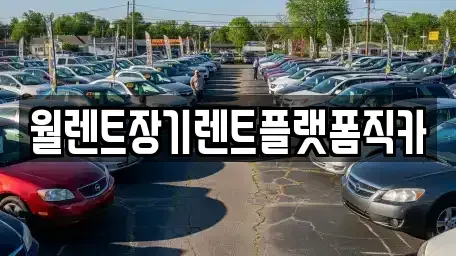 경기도 광주시 고산동 장기렌트카 전문 월렌트장기렌트플랫폼직카