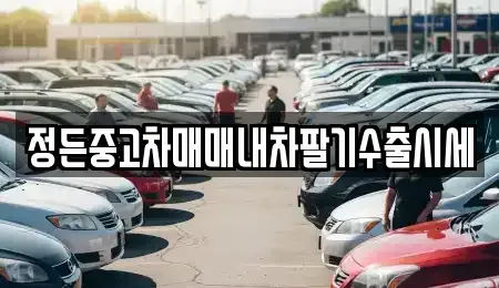 경기도 광주시 고산동 중고차 전문 정든중고차매매내차팔기수출시세