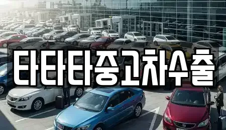 경기도 광주시 고산동 중고차 전문 타타타중고차수출