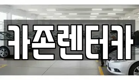 경기도 광주시 장지동 단기렌트카,중고차매입,중고차매매,중고차,렌트카,장기렌트카