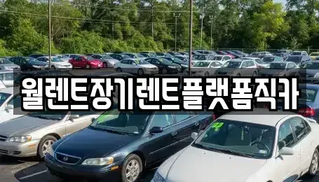 경기도 광주시 장지동 렌트카 전문 월렌트장기렌트플랫폼직카