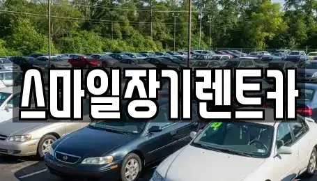 경기도 광주시 장지동 장기렌트카 전문 스마일장기렌트카