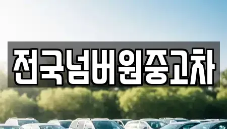 경기도 광주시 장지동 중고차매매 전문 전국넘버원중고차