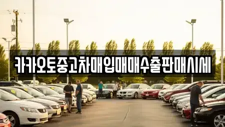 경기도 광주시 장지동 중고차매입 전문 카카오토중고차매입매매수출판매시세