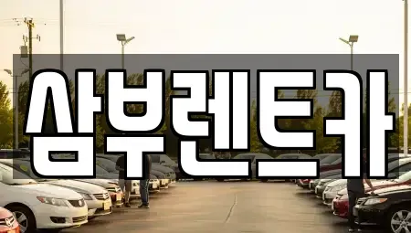 경기도 구리시 인창동 렌트카 전문 삼부렌트카