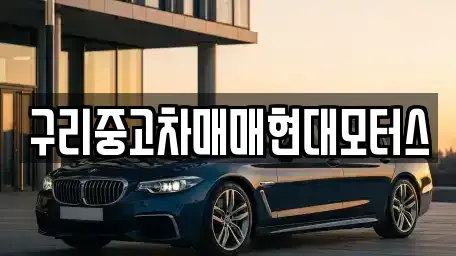 경기도 구리시 인창동 중고차매매 전문 구리중고차매매현대모터스