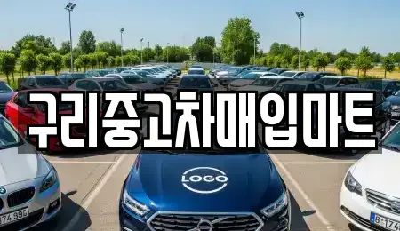 경기도 구리시 인창동 중고차매매,단기렌트카,중고차매입,장기렌트카,중고차,렌트카