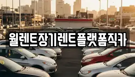 경기도 동두천시 탑동동 렌트카 전문 월렌트장기렌트플랫폼직카