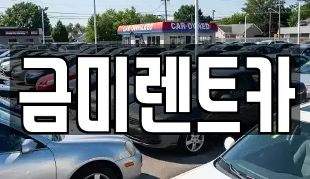 경기도 부천시 소사구 괴안동 렌트카 전문 금미렌트카