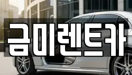 경기도 부천시 오정구 원종동 렌트카 전문 금미렌트카