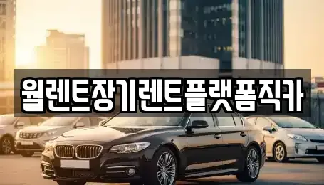 경기도 부천시 오정구 원종동 장기렌트카 전문 월렌트장기렌트플랫폼직카