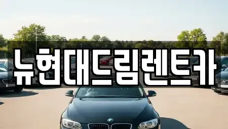 경기도 수원시 팔달구 신풍동 렌트카 전문 뉴현대드림렌트카