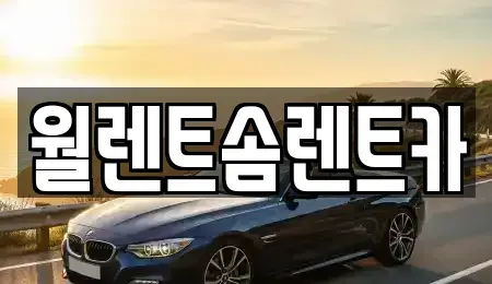 경기도 수원시 팔달구 신풍동 렌트카 전문 월렌트솜렌트카