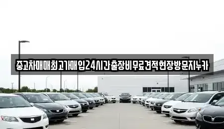 경기도 시흥시 도창동 중고차 전문 중고차매매최고가매입24시간출장비무료견적현장방문지누카