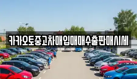 경기도 시흥시 도창동 중고차 전문 카카오토중고차매입매매수출판매시세