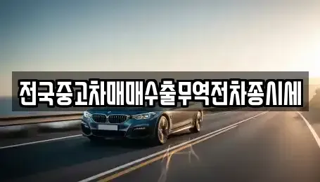 경기도 시흥시 도창동 중고차매매 전문 전국중고차매매수출무역전차종시세