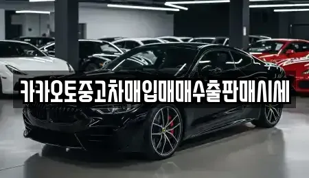 경기도 시흥시 포동 중고차 전문 카카오토중고차매입매매수출판매시세