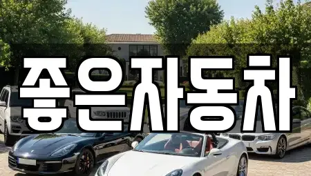 경기도 안산시 단원구 성곡동 중고차매매 전문 좋은자동차
