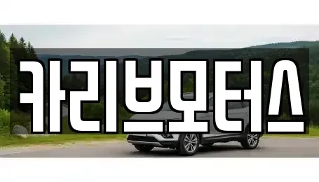 경기도 안산시 단원구 성곡동 중고차매매 전문 카리브모터스