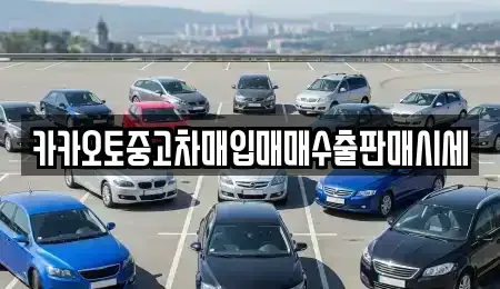 경기도 안산시 단원구 성곡동 중고차매입 전문 카카오토중고차매입매매수출판매시세