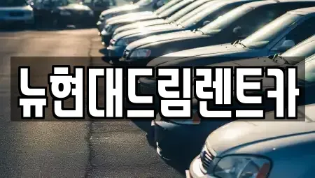 경기도 안산시 단원구 화정동 렌트카 전문 뉴현대드림렌트카