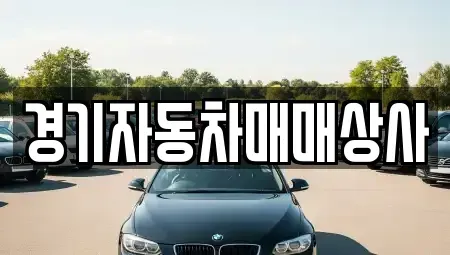 경기도 안산시 단원구 화정동 중고차 전문 경기자동차매매상사