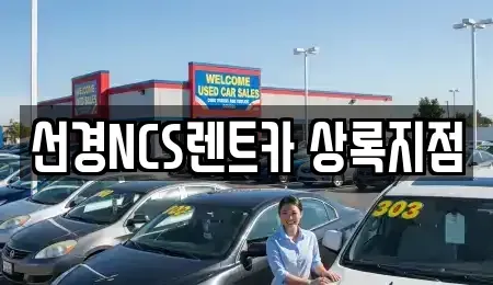 경기도 안산시 상록구 본오동 단기렌트카 전문 선경NCS렌트카 상록지점
