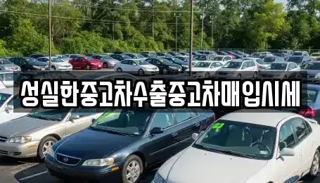 경기도 안산시 상록구 본오동 중고차 전문 성실한중고차수출중고차매입시세