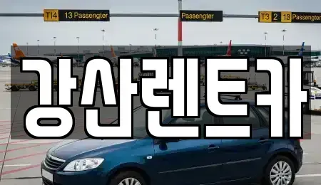 경기도 안성시 당왕동 렌트카 전문 강산렌트카