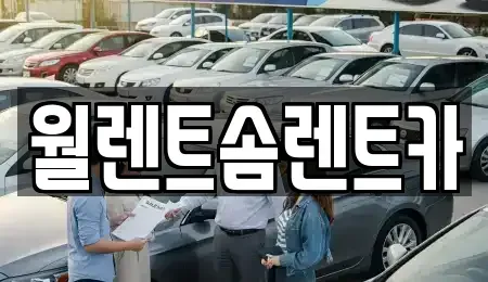 경기도 안성시 당왕동 렌트카 전문 월렌트솜렌트카