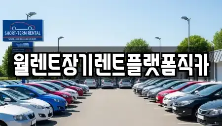 경기도 안성시 당왕동 장기렌트카 전문 월렌트장기렌트플랫폼직카