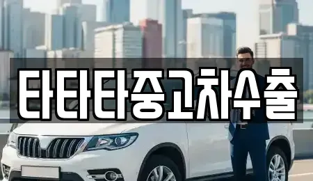 경기도 안성시 당왕동 중고차매매 전문 타타타중고차수출